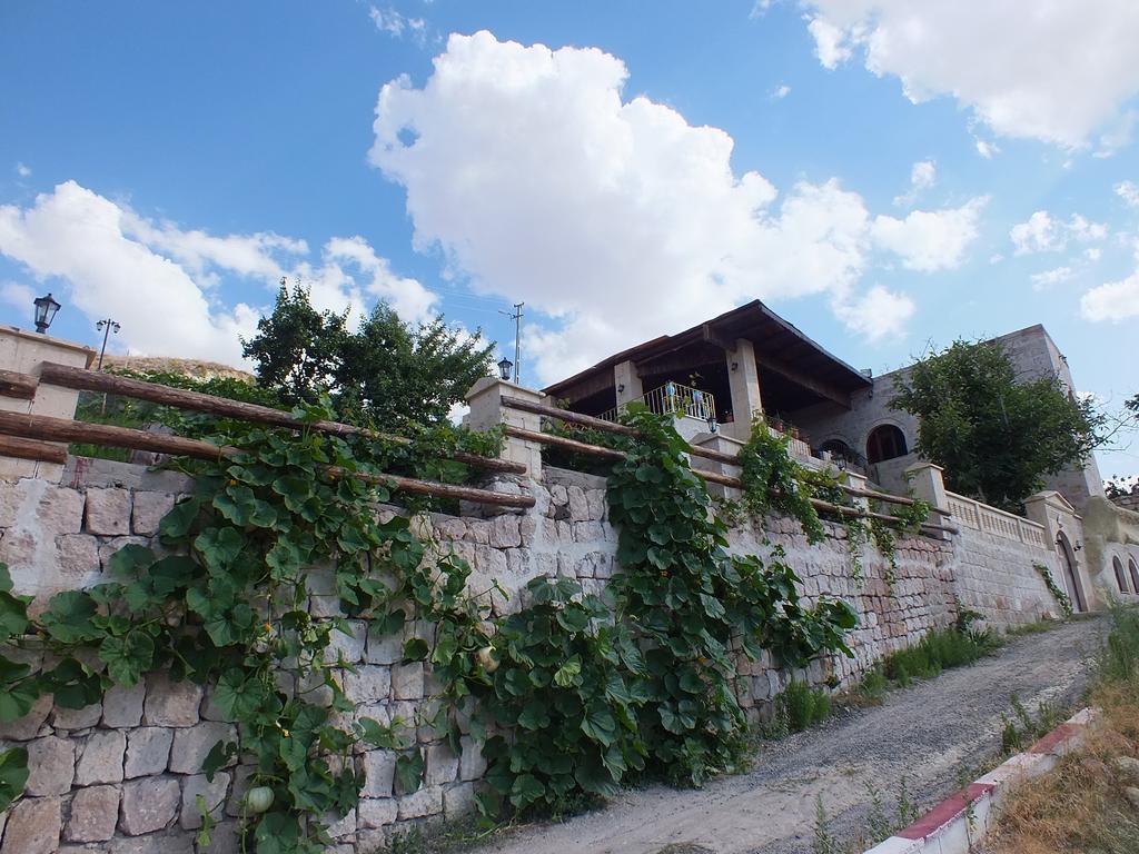 Dilek Tepesi Cave Hotel Ayvali Exteriér fotografie